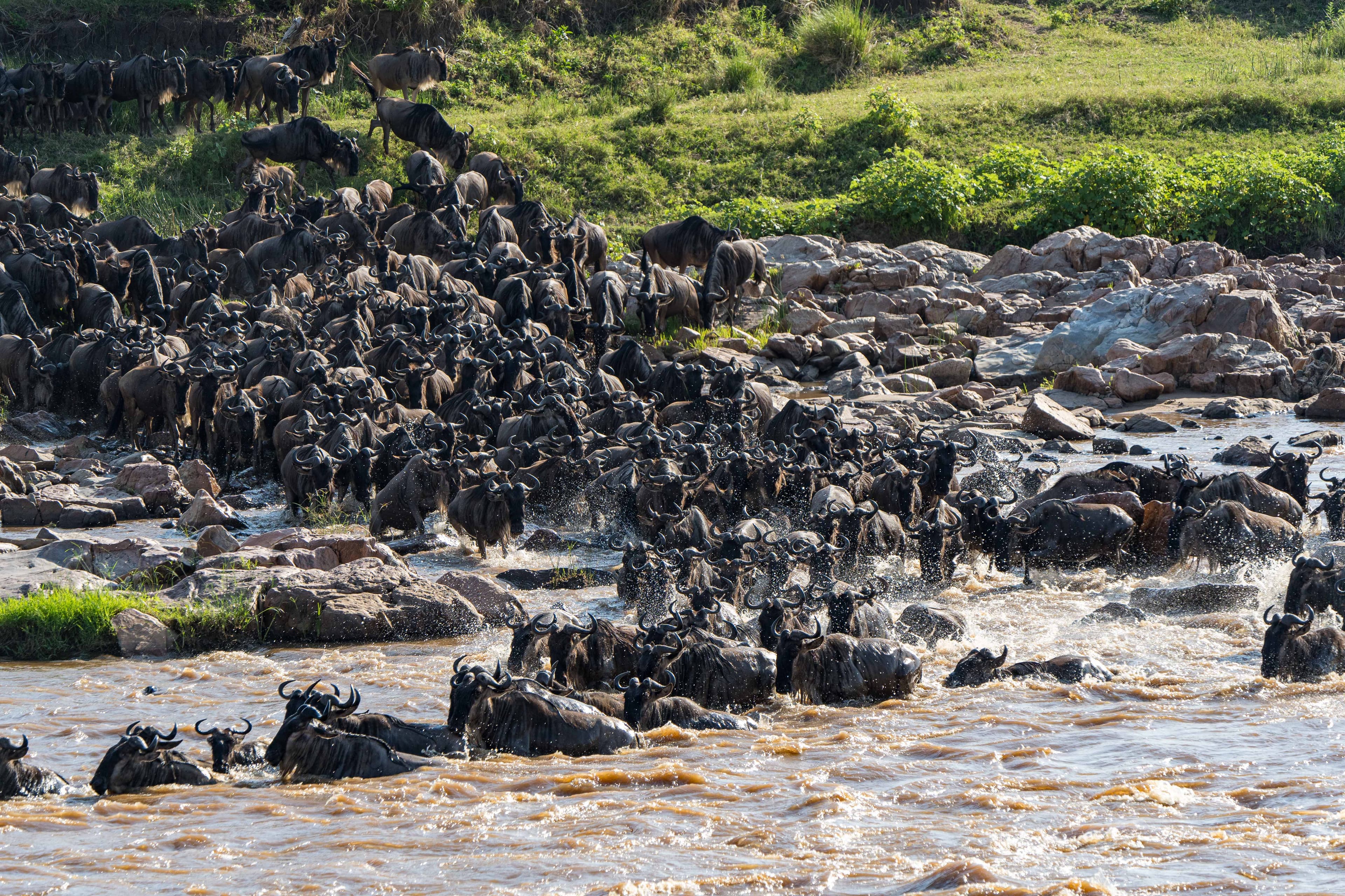 Tanzania